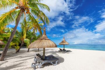 Calm Shores of Mauritius